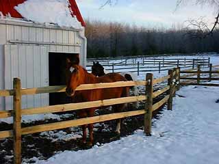 Ru with Split Rail